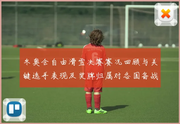 冬奥会自由滑雪决赛赛况回顾与关键选手表现及奖牌归属对各国备战影响