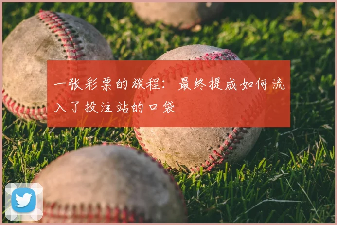 一张彩票的旅程:最终提成如何流入了投注站的口袋