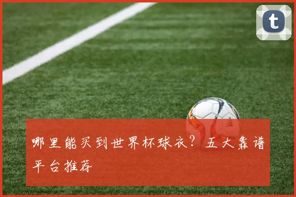 哪里能买到世界杯球衣?五大靠谱平台推荐