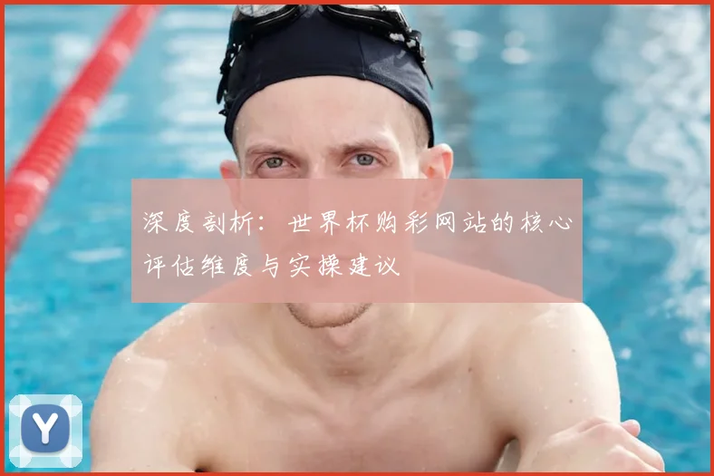 深度剖析:世界杯购彩网站的核心评估维度与实操建议