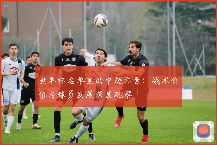 世界杯名单里的中超元素:战术价值与球员发展深度观察
