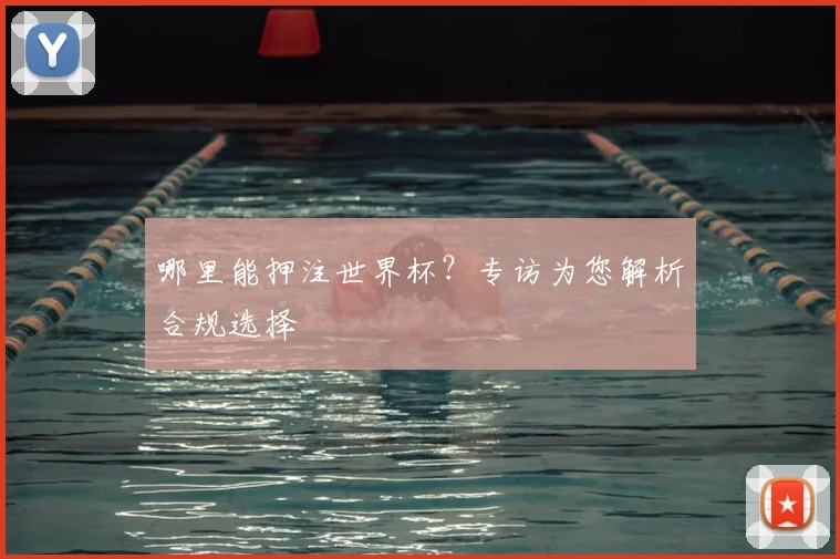 哪里能押注世界杯？专访为您解析合规选择