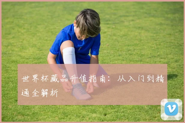 世界杯藏品升值指南:从入门到精通全解析