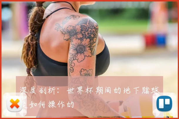 深度剖析:世界杯期间的地下赌球是如何操作的