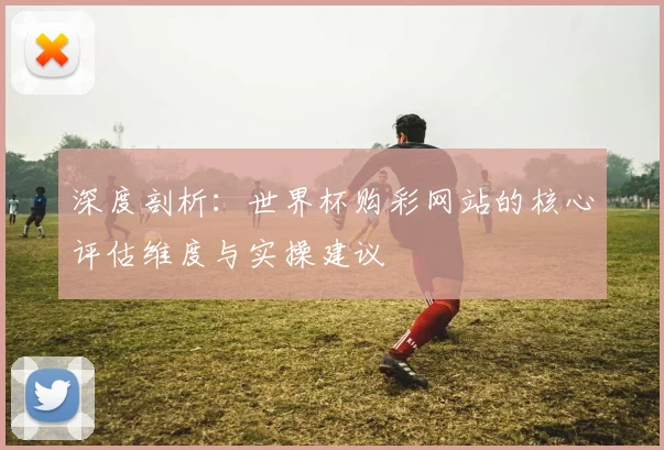 深度剖析:世界杯购彩网站的核心评估维度与实操建议