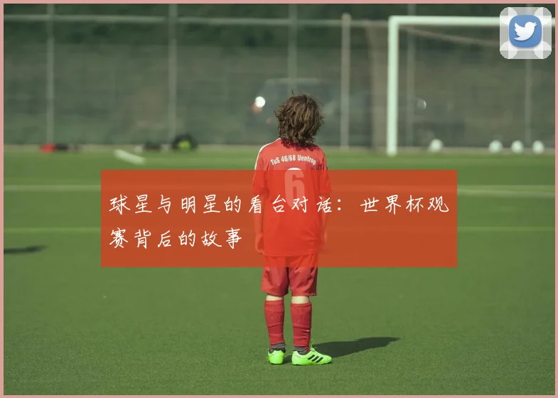 球星与明星的看台对话:世界杯观赛背后的故事